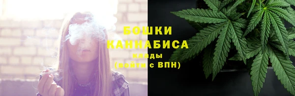 spice Краснослободск