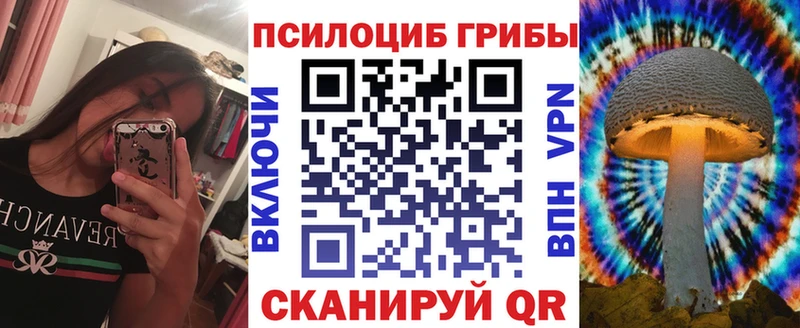 Галлюциногенные грибы Magic Shrooms  Купить где  Лесной 