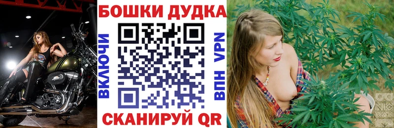 Марихуана SATIVA & INDICA  Купить закладки  Лесной 